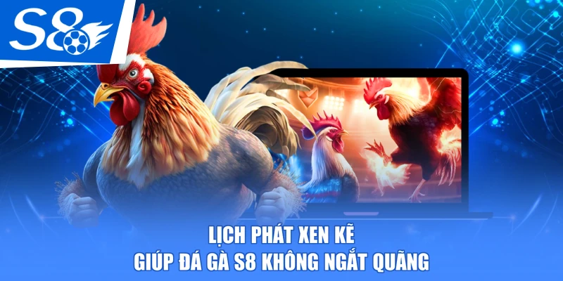 Lịch phát xen kẽ giúp đá gà S8 không ngắt quãng